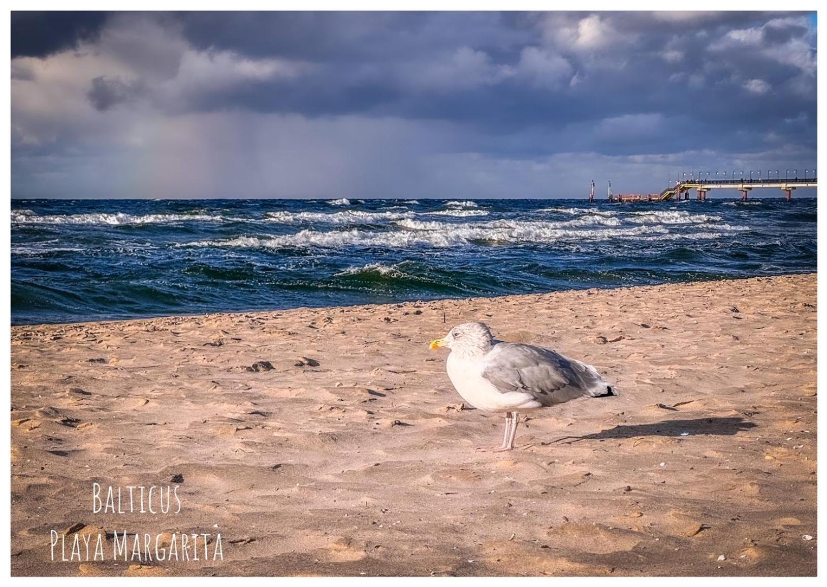Balticus Playa Margarita Lägenhet Miedzyzdroje Exteriör bild